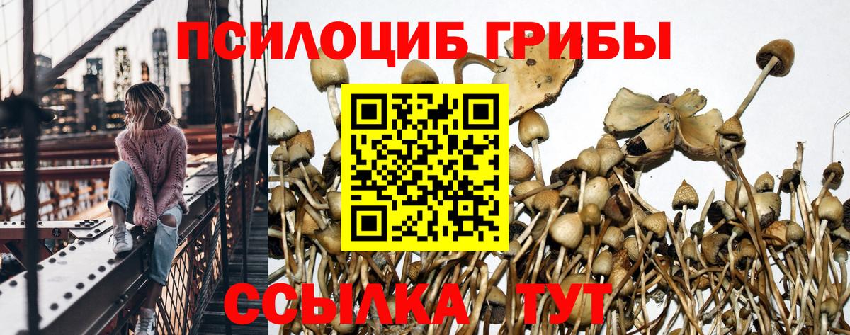 Галлюциногенные грибы ЛСД Уварово
