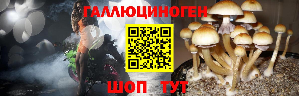Псилоцибиновые грибы мухоморы  Вход с VPN  Уварово 